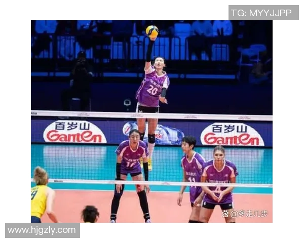 男排决赛精彩对决俄罗斯与巴西谁将夺得冠军荣耀